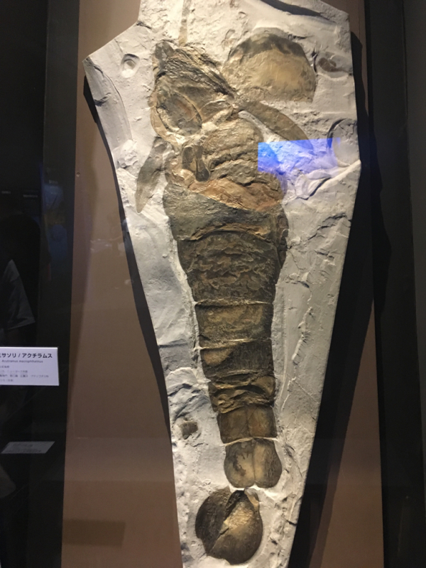 e0074760_18274050.jpg