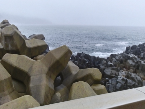 津軽海峡 ドンコ刺身 アジエンスの放浪と釣り 函館 津軽海峡 ドンコ刺身 アジエンスの放浪と釣り 函館