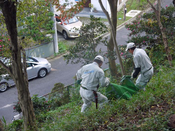 間伐材が炭となって夫婦桜の根元に帰還：7月六国見山定例②_c0014967_22584117.jpg