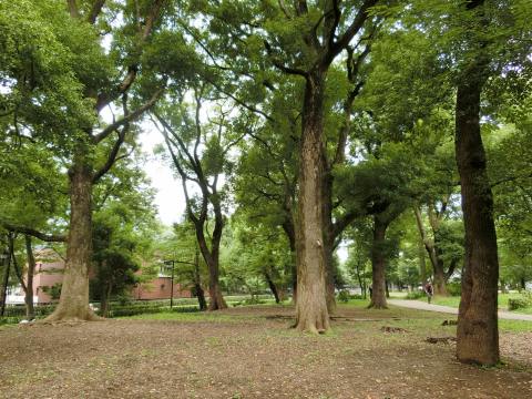 e0045768_225103.jpg