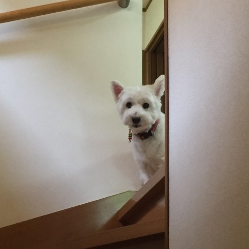 c0225471_14315792.jpeg