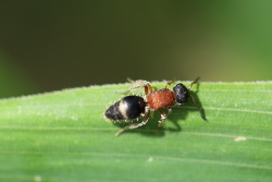 c0369491_23372904.jpg