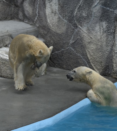 d0090801_22193234.jpg