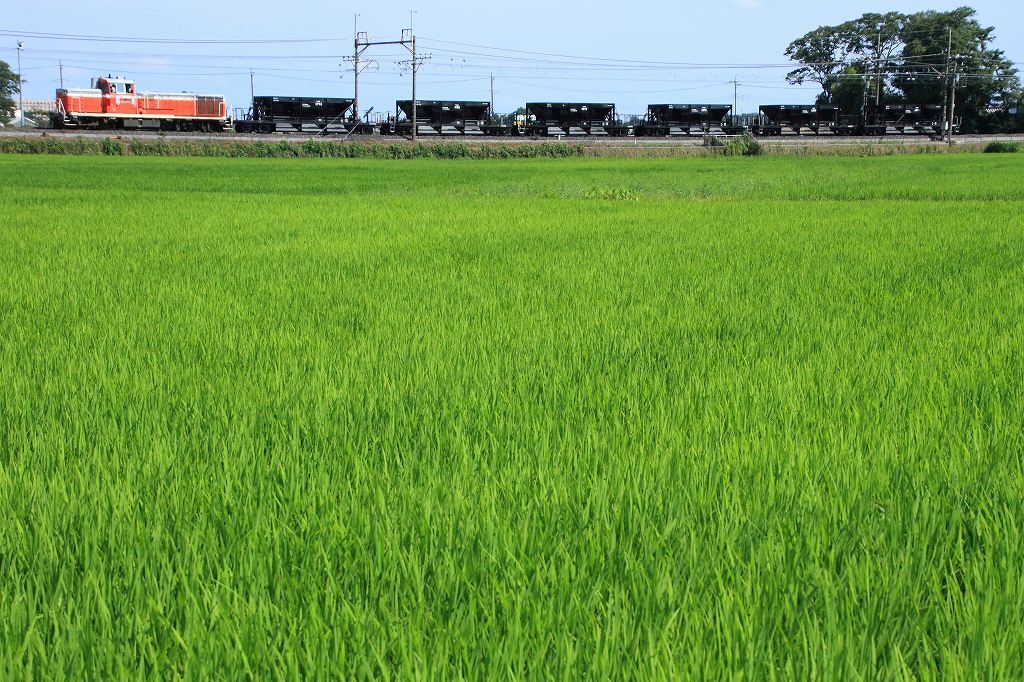 ヒガハスをゆくホキ みちざねの鉄ログ