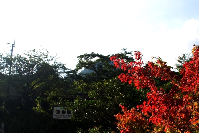 c0368903_22342590.jpg
