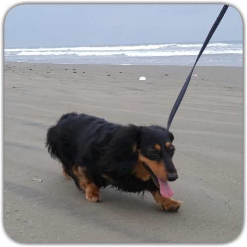 d0347205_22573745.jpg