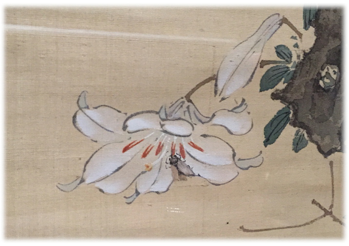山種美術館 『江戸絵画への視線展』 ④_d0075206_15595232.jpg