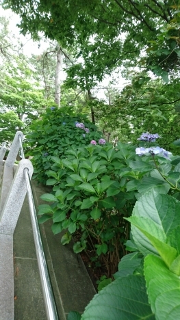 c0118013_17455116.jpg