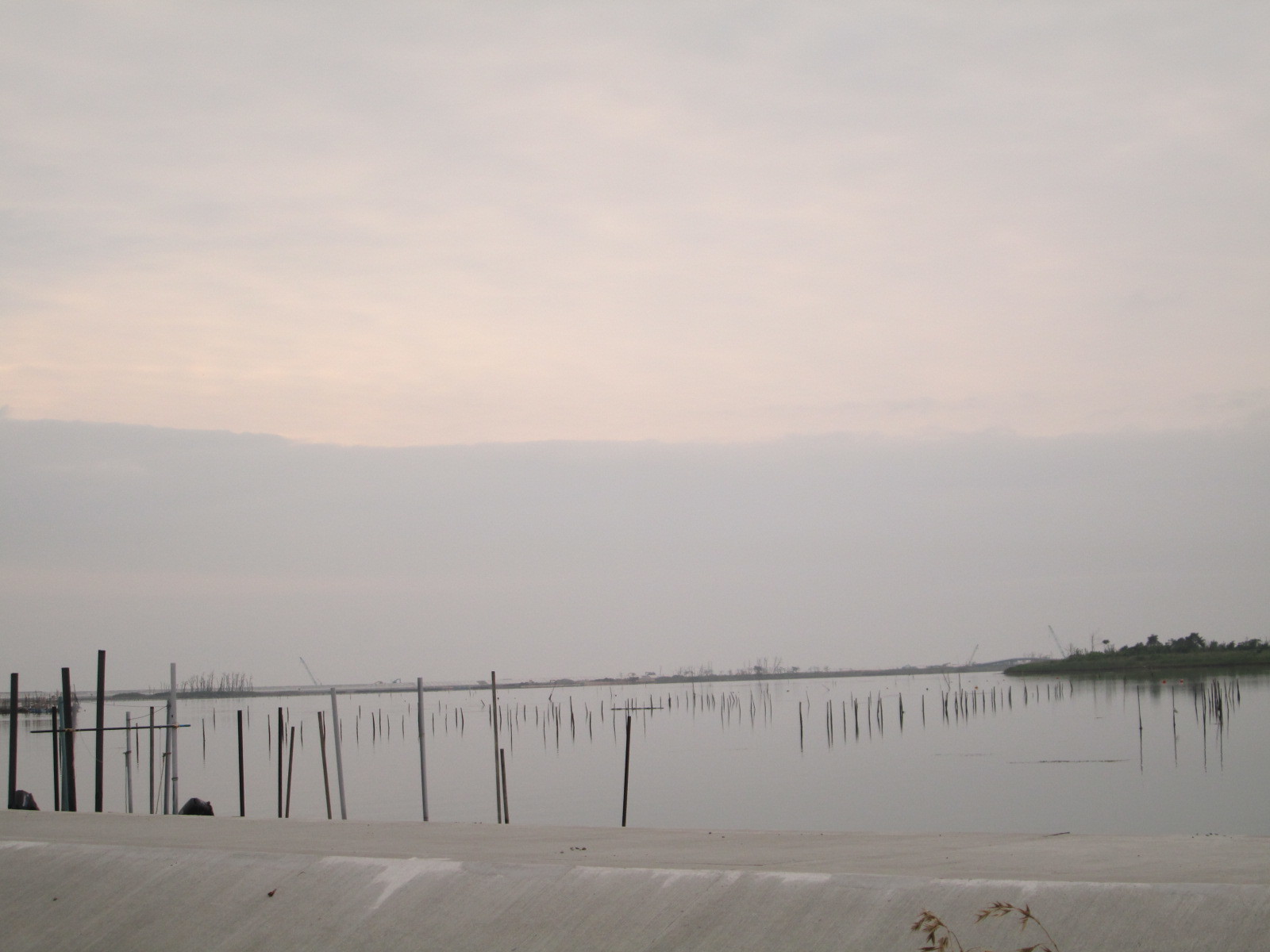 d0197317_19255762.jpg