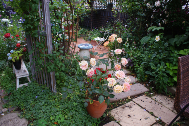 f0170524_09063220.jpg