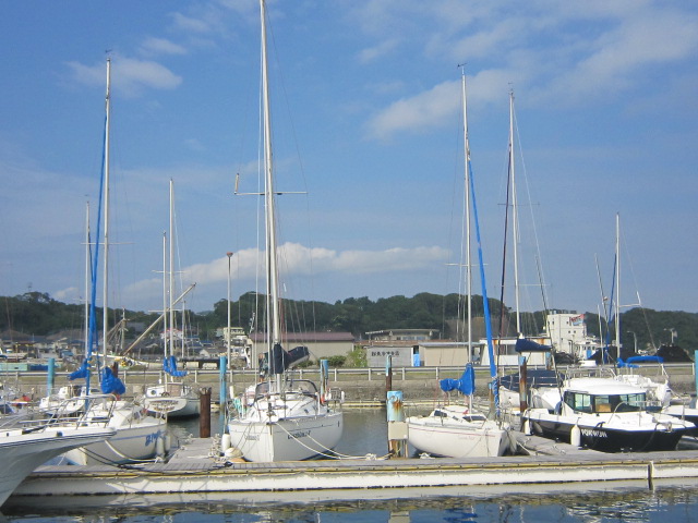 d0162225_11443010.jpg