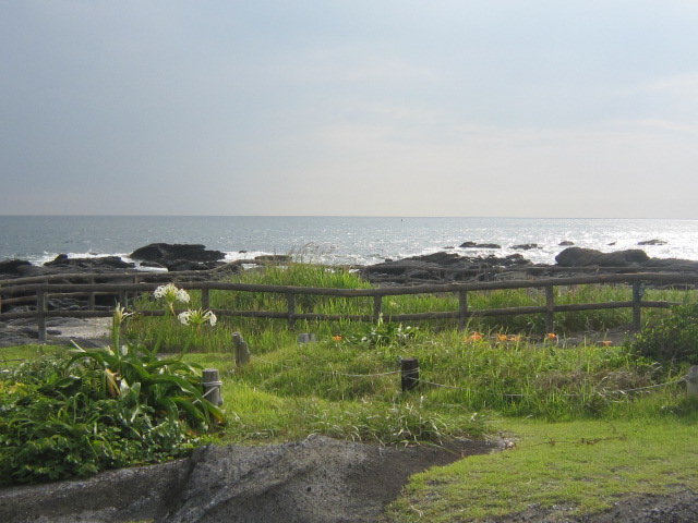 d0162225_1152464.jpg