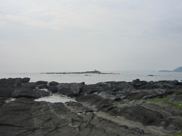 d0162225_11543545.jpg