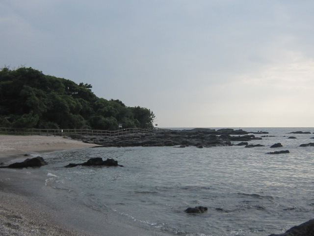 d0162225_11545729.jpg