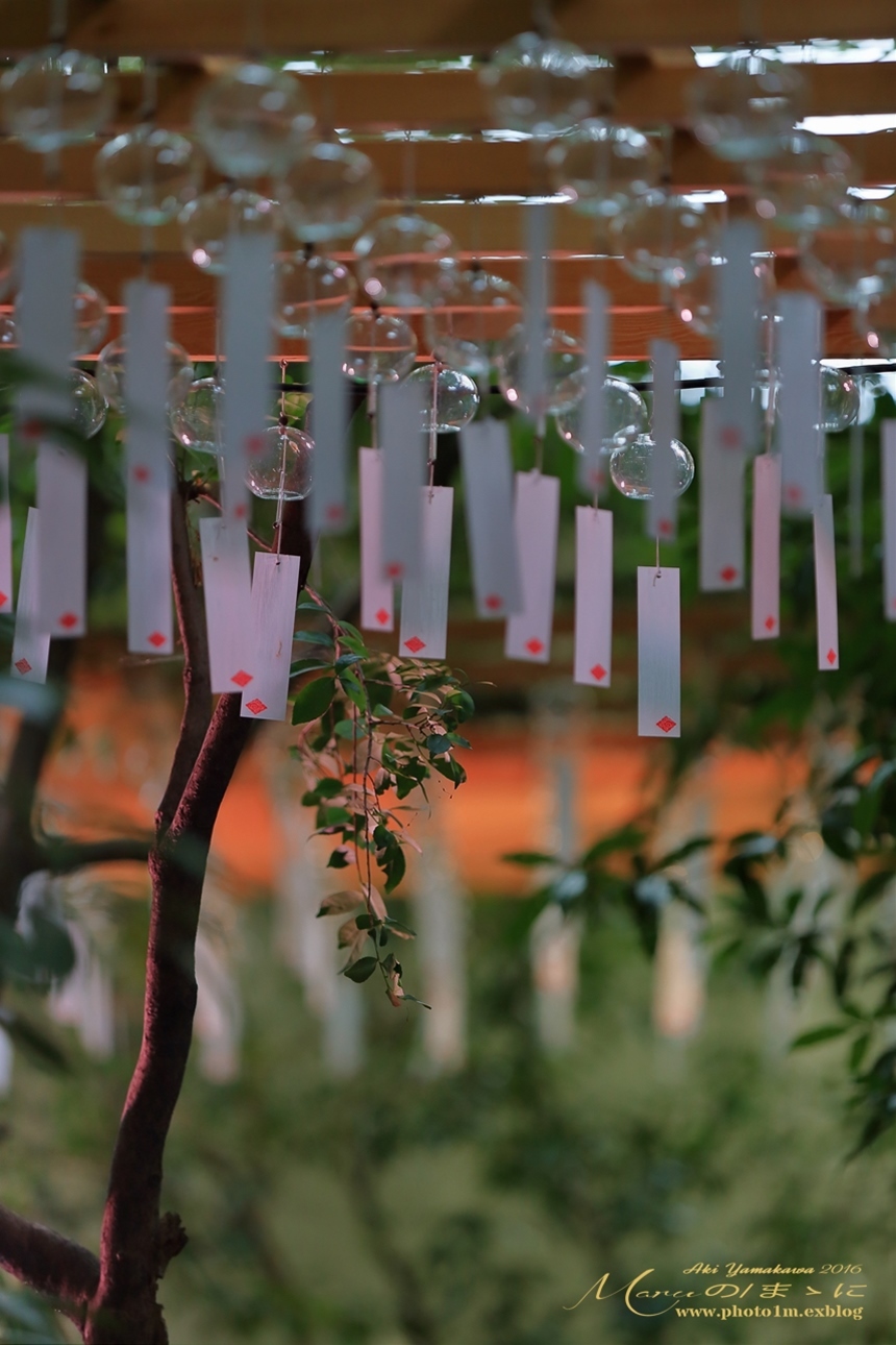 まゝに/7月の散策/小江戸川越/氷川神社/縁結び風鈴祭り_d0342426_00201689.jpg