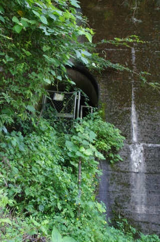 f0250929_22042547.jpg