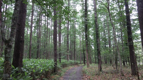 e0202031_22484397.jpg