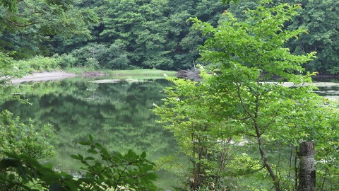 e0202031_22502556.jpg