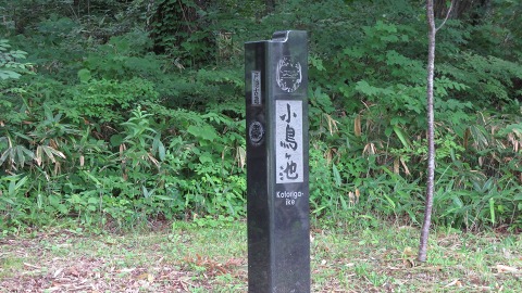 e0202031_22513754.jpg