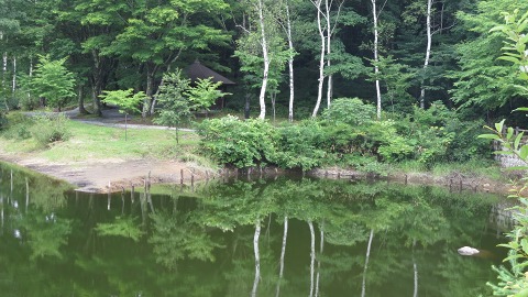 e0202031_22521930.jpg