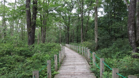 e0202031_2302514.jpg