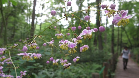 e0202031_23055100.jpg