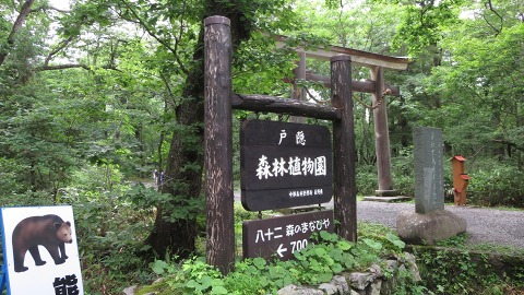 e0202031_2311599.jpg