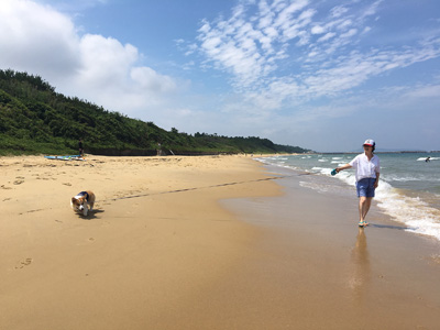 2016 海 (かぁちゃん編)_f0035333_20122135.jpg