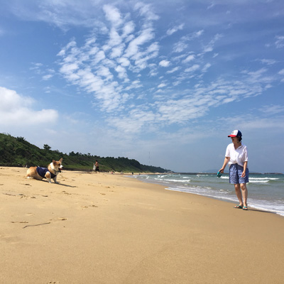 2016 海 (かぁちゃん編)_f0035333_20131664.jpg