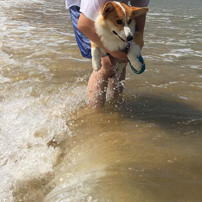 2016 海 (かぁちゃん編)_f0035333_20222787.jpg