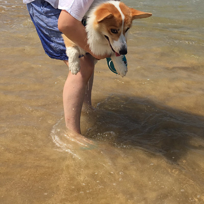2016 海 (かぁちゃん編)_f0035333_20242810.jpg