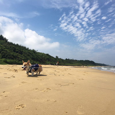 2016 海 (かぁちゃん編)_f0035333_20283322.jpg