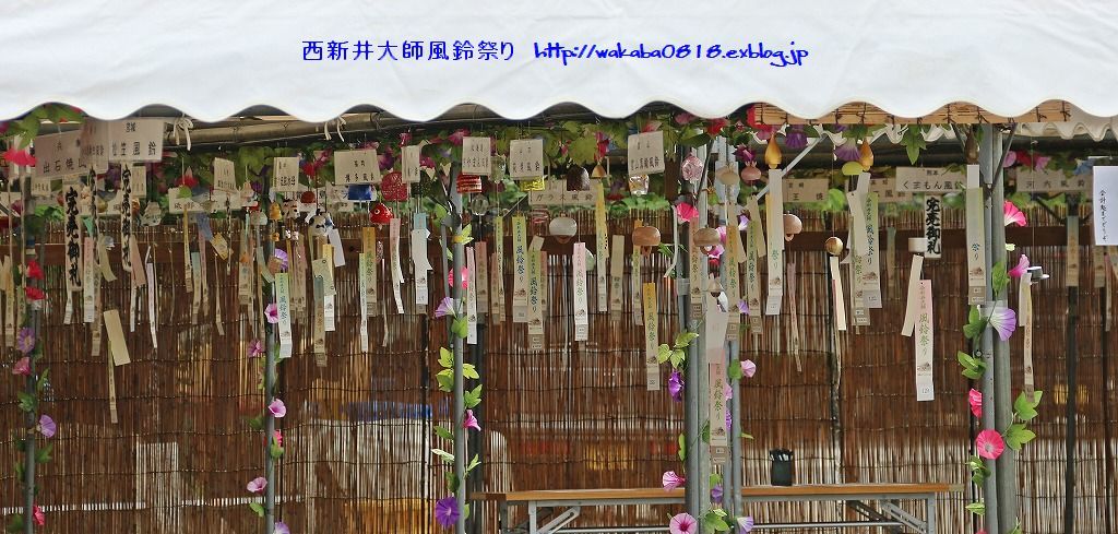 西新井大師の風鈴祭りに 自然のキャンバス 西新井大師の風鈴祭りに 自然のキャンバス