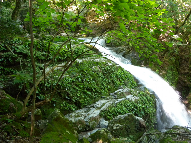 e0272335_1959531.jpg