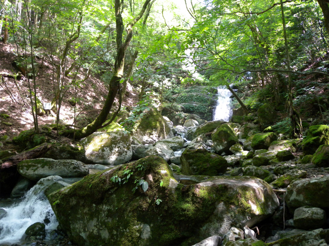 e0272335_20194814.jpg