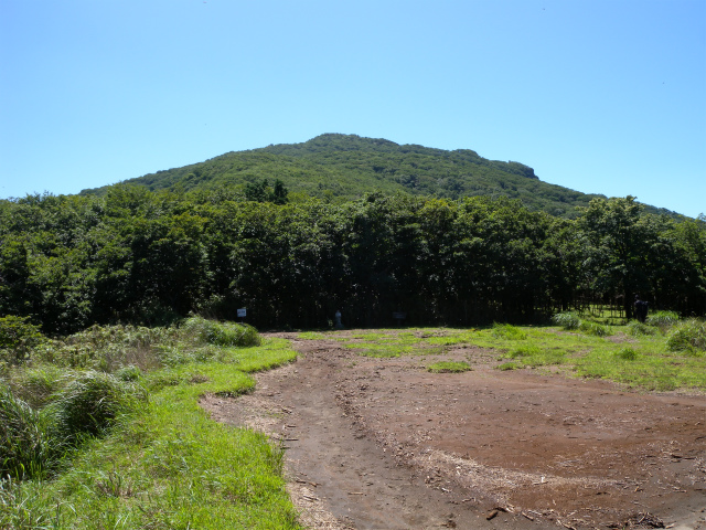 e0272335_2071540.jpg