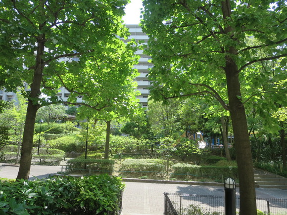 a0204337_14161259.jpg