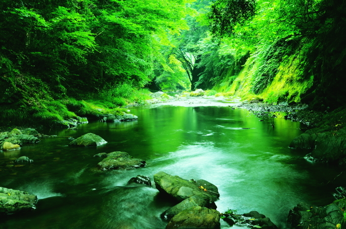 爽やかな夏緑の渓流 As It Is 爽やかな夏緑の渓流 As It Is
