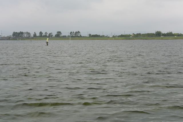 d0247247_21431882.jpg
