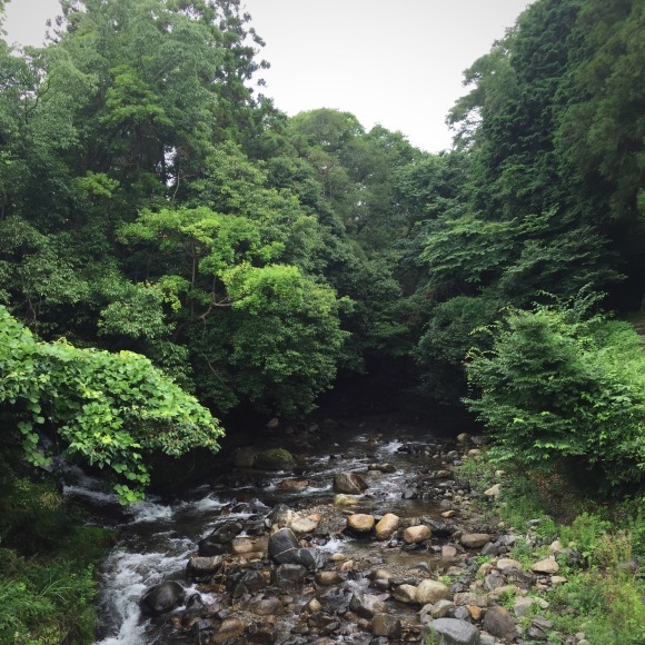 c0312349_16314259.jpeg