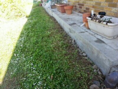 c0330749_12011680.jpg