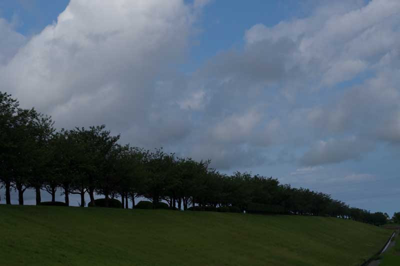 d0342652_9563481.jpg