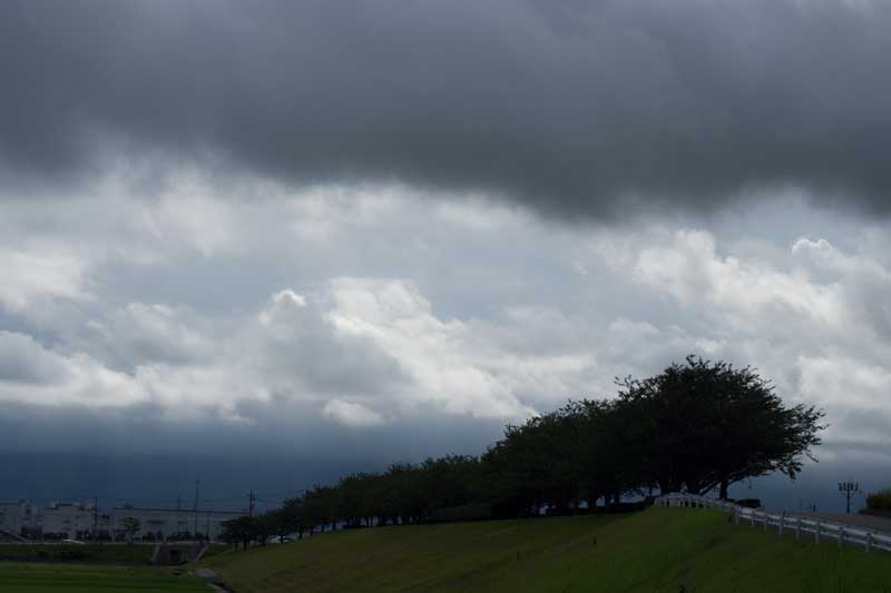 d0342652_9572851.jpg