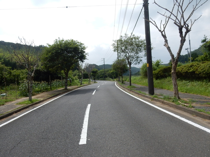 ’16,7,18(月)田舎道に行ってきたYO!_f0060461_11355148.jpg