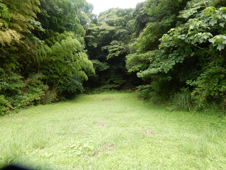 ’16,7,18(月)田舎道に行ってきたYO!_f0060461_1143653.jpg