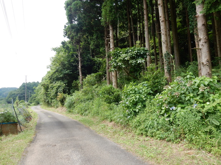 ’16,7,18(月)田舎道に行ってきたYO!_f0060461_11453968.jpg