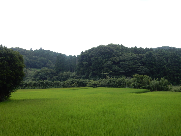 ’16,7,18(月)田舎道に行ってきたYO!_f0060461_11471376.jpg