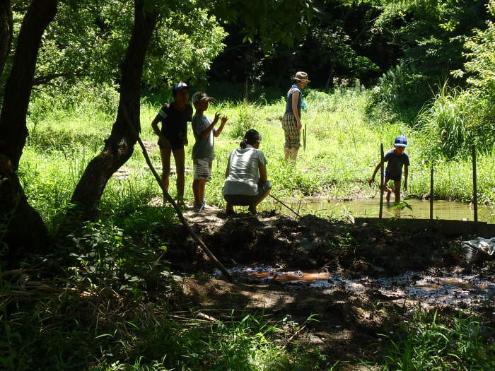 今朝も足助川_a0122264_19192446.jpg