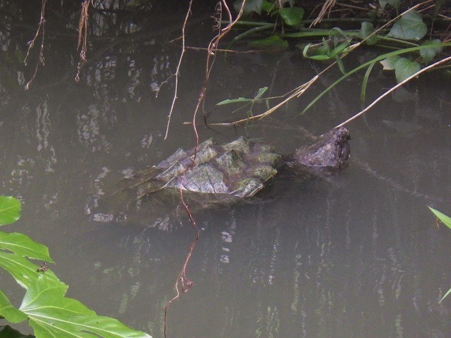 c0105569_0274045.jpg