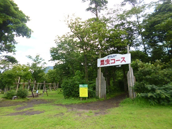 c0138070_14350727.jpg